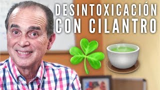 Episodio 1490 Desintoxicación Con Cilantro [upl. by Jankey]