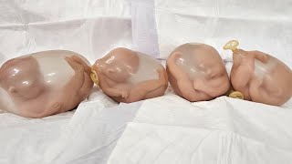 QUADRUPLETS Womb Birth How Micro Preemie Silicone Baby Dolls are Born nlovewithreborns2011 [upl. by Tiena479]