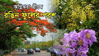 অগ্নিঝরা গ্রীষ্মে রঙিন ফুলের পরশ । A Touch Of Colorful Flowers In The Fiery Summer [upl. by Anilet]