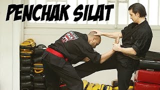 PenchakSilat avec Michael Illouz 4ème Dan FFKDA [upl. by Fabron]