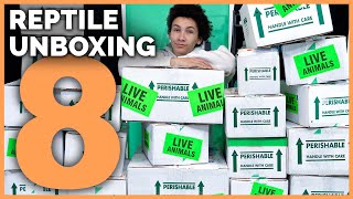 Unboxing 17 More Reptiles New Geckos Boas Pythons Tortoises amp More [upl. by Aivil]