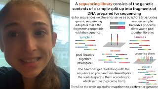 Multiplexing and molecular barcodes indexes in NGS Next Gen Sequencing [upl. by Dee]