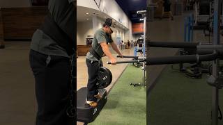 Weighted Dips With 160 Pounds at 165 bodyweight [upl. by Eiral726]