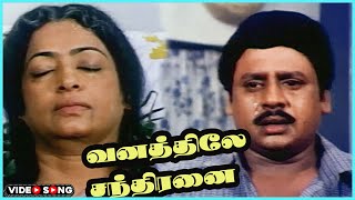 Vaanathilae Chandirana Video Song in Vivasaayi Magan Movie  Ramarajan Devayani Tamil Video Song [upl. by Noiemad]