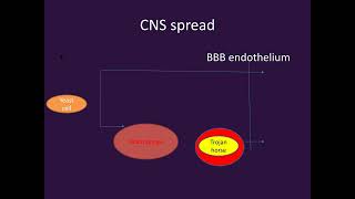 Cryptococcosis PART1Microbiology Lecture [upl. by Annahael213]