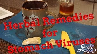 Herbal Redemies for Stomach Virus [upl. by Antonietta]