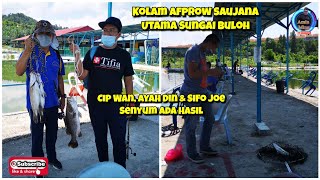 Kolam Afprow Saujana Utama Sungai Buloh  Meriah Ikan Sini [upl. by Ridley]