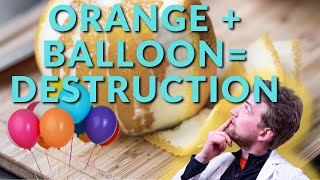 How does an orange peel pop a ballon Limonene Vs Rubber [upl. by Eiraminot]