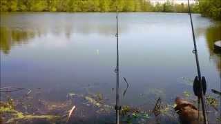 Fishing for Yellow Cats Black Bullheads at an old pond [upl. by Radford]