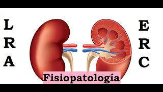 Lesión Renal Aguda y Enfermedad Renal Crónica  Fisiopatología [upl. by Eninnaej]