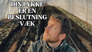 Det skal du så i køkkenhaven NU  vejen til at blive selvforsynende [upl. by Assyram]