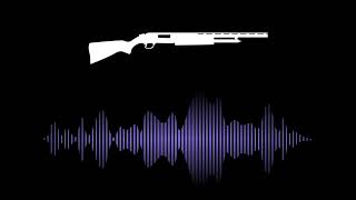 Shotgun Gunfire and Reload Sound Effect [upl. by Cahan]