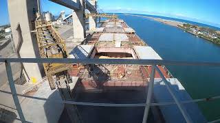 Loading Soya Beans Necochea Argentina 05 08 Sept 2023 [upl. by Polly]