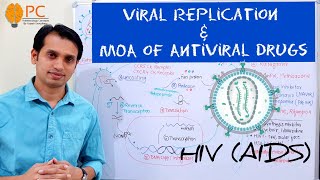 HIV or Retro Viral Replication and Mechanism of action of Antiviral Drugs  HIV Lifecycle [upl. by Azeel]