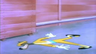 Tex Avery Funniest Moments 12 [upl. by Swayder107]