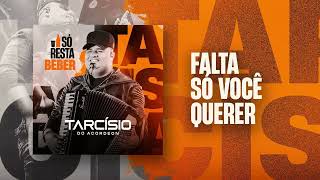 FALTA SÓ VOCÊ QUERER  Tarcísio do Acordeon CD Só Resta Beber [upl. by Ayifa]