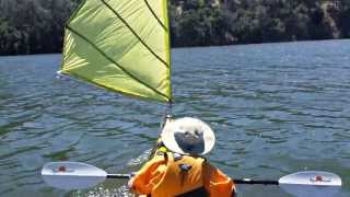 Kayak Sailing with Home made DIY Sail upwind capable  Del Valle [upl. by Surtimed]