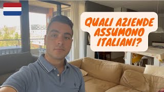 Quali Aziende Assumono Italiani In Olanda [upl. by Dodson282]