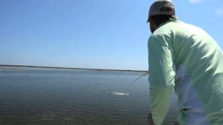 Homosassa Chassahowitzka Florida Fly FIshing [upl. by Caron]