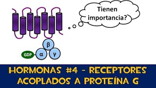 Receptores acoplados a proteína G  metabotropicos [upl. by Carce]