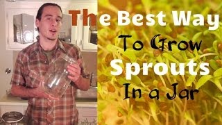 The Best Way to Grow Sprouts in a Jar [upl. by Johnstone]