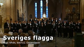 Sönerna  Sveriges flagga [upl. by Aylad]