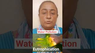 Eutrophication हिंदी में Understanding the Impact on Aquatic Ecosystems shortsfeed ytshorts [upl. by Berger]