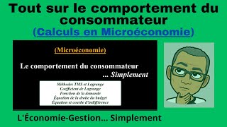 TOUT sur le comportement du consommateur Calcul Microéconomie [upl. by Brig]