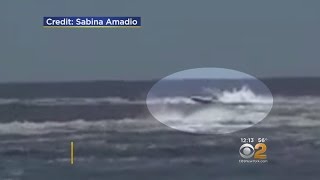 Deadly Speedboat Crash Caught On Video [upl. by Alleusnoc]