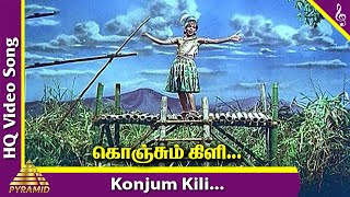 Konjum Kili Video Songs  Kandhan Karunai Movie Songs  Nagesh  Sivaji Ganesan  Pyramid Music [upl. by Madda954]