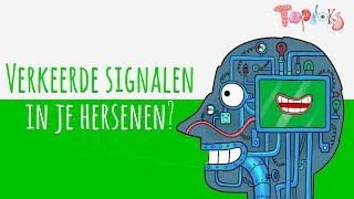 VERKEERDE SIGNALEN – TOPDOKS ANIMATIE [upl. by Marino]