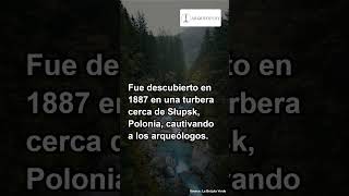 El oso de ámbar de Słupsk un excepcional amuleto prehistórico shorts [upl. by Erual]