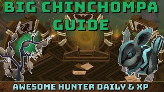 Big Chinchompa Guide Runescape 3 Easy Hunter Xp Daily DampD [upl. by O'Doneven]