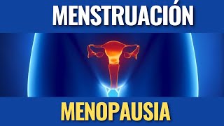 🔵🟡¿Porqué se produce LA MENSTRUACIÓN  ¿Porqué se produce la menopausia [upl. by Bonn896]