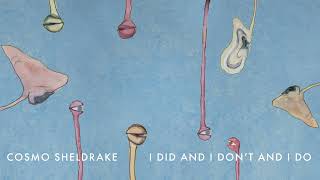 Cosmo Sheldrake  I Did And I Don’t And I Do [upl. by Verina]