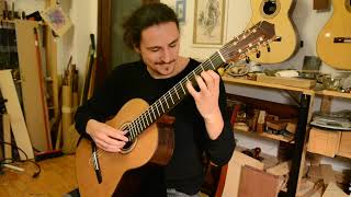 Ciprian Porumbescu Balada played by Dragos Ilie 2021 CedarAmazon Rw lattice [upl. by Sisson557]