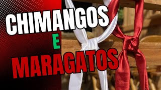 Documentário Chimangos e Maragatos no Rio Grande do Sul [upl. by Cherise294]