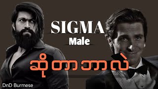 Sigma male ဆိုတာဘယ်လိုယောင်္ကျားမျိုးလဲ [upl. by Gemma]