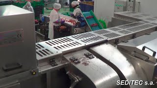 MCF500 Series 2021 Line of 2 MCF500 strawberry capping machines in Spain [upl. by Iy90]