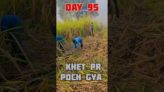 Day 96 Khet Pr Poch Gye 100dayschallenge minivlog vlog 31dayschallenge shortvideo shorts [upl. by Eirrek]