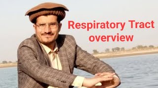 Respiratory Tract Or Pathway Ch Gaseous Exchanve 10th Class Overview in HindiUrdu [upl. by Ettennan]