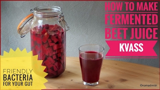 How to make fermented beet kvass friendly bacteria for your gut [upl. by Akinehc556]