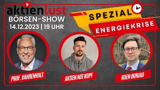 ⚠️ Die große ENERGIEKRISE Prof Vahrenholt Kolja v Aktien mit Kopf amp Koen Boriau 7C Solarparken [upl. by Ecire]