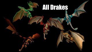 How To Get All Drake Mounts In WoW [upl. by Nosnar]