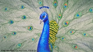 How to Draw a Peacock With Color Pencils  Drawing Feathers and Birds [upl. by Joella]