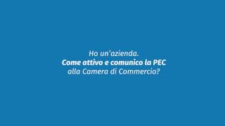 Come limpresa può ottenere e registrare la pec alla Camera di Commercio di Salerno [upl. by Nevile680]