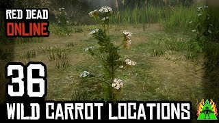 Red Dead Redemption 2 ONLINE  WILD CARROT LOCATIONS [upl. by Nottarts85]