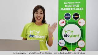 SiteGiant Beginner Tutorial  Episode 6 Webstore Layout Management [upl. by Ahsinyar323]