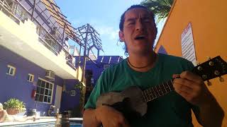 Vicente García  Espuma y arrecife ukulele cover por Pinocarlos [upl. by Aivat]