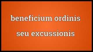 Beneficium ordinis seu excussionis Meaning [upl. by Dric880]